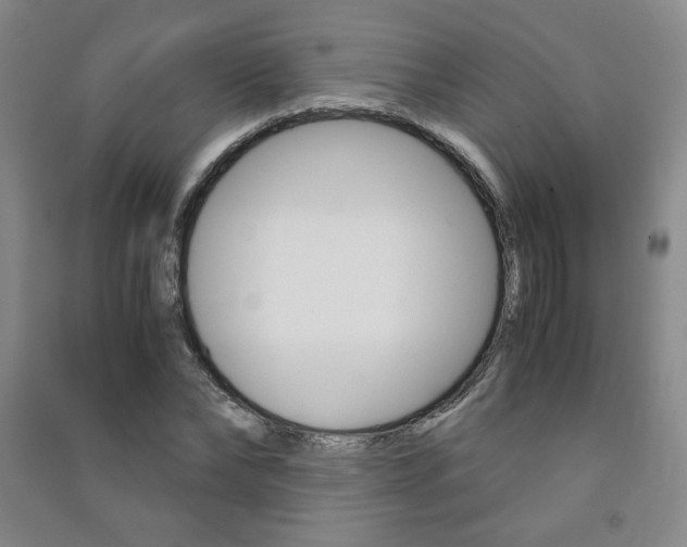 X0000091490878200708161208