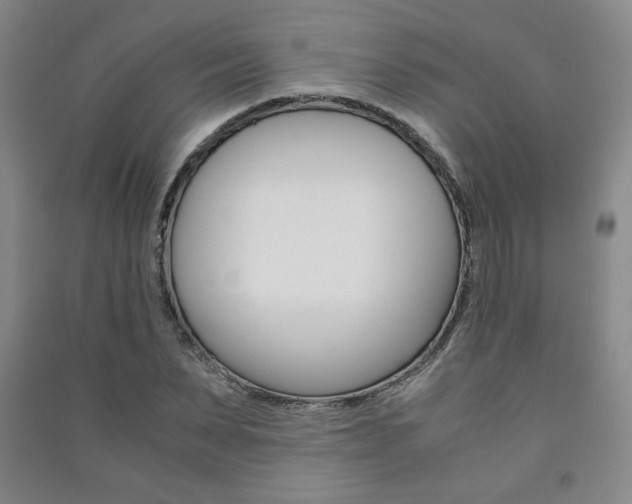 X0000091490879200708161208