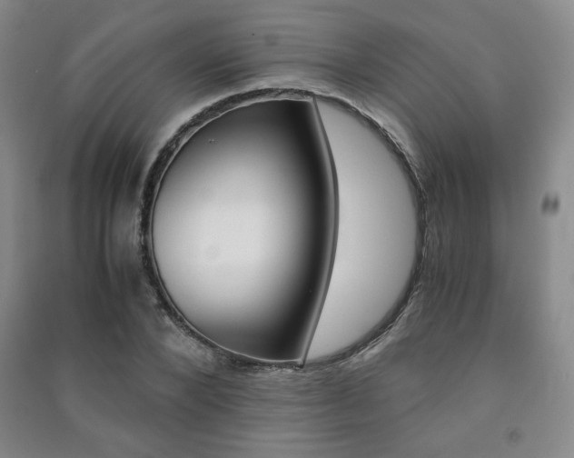 X0000091490880200708161208
