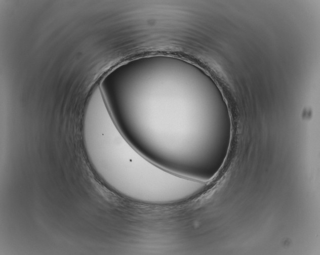X0000091490881200708161208