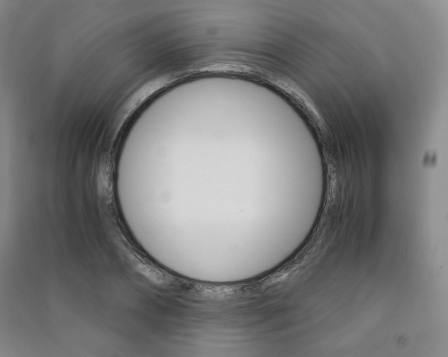 X0000091490882200708161208