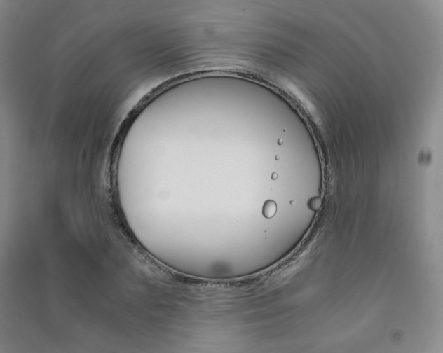 X0000091490883200708161208