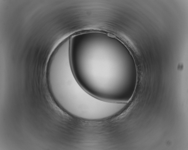 X0000091490884200708161208