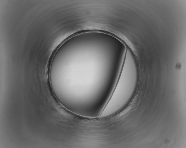 X0000091490885200708161208