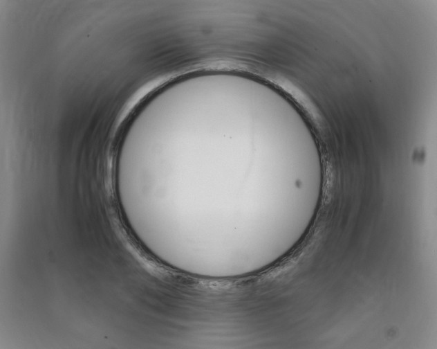 X0000091490886200708161208