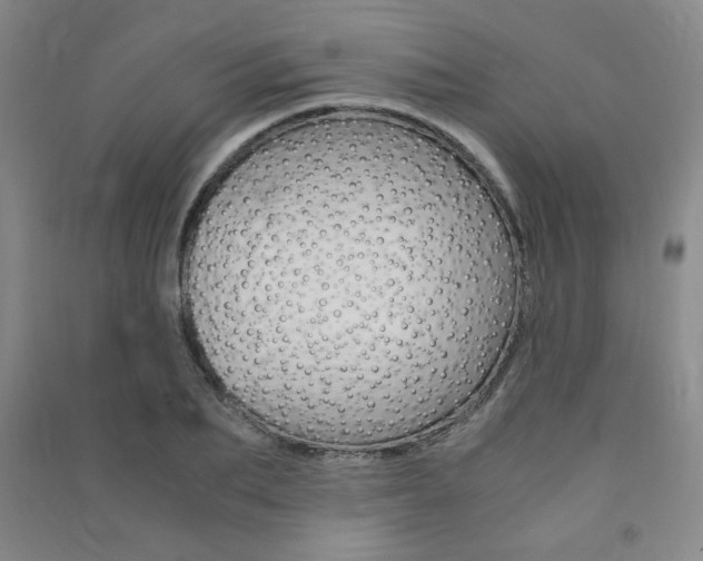 X0000091490887200708161208