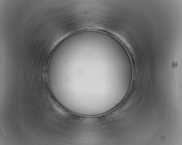 X0000091490889200708161208