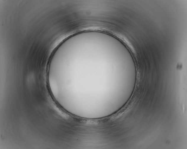 X0000091490890200708161208