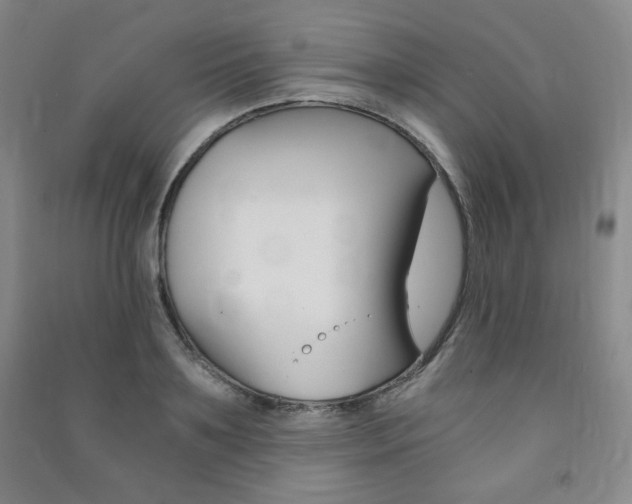 X0000091490891200708161208