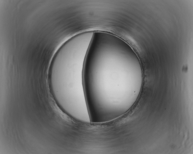 X0000091490892200708161208