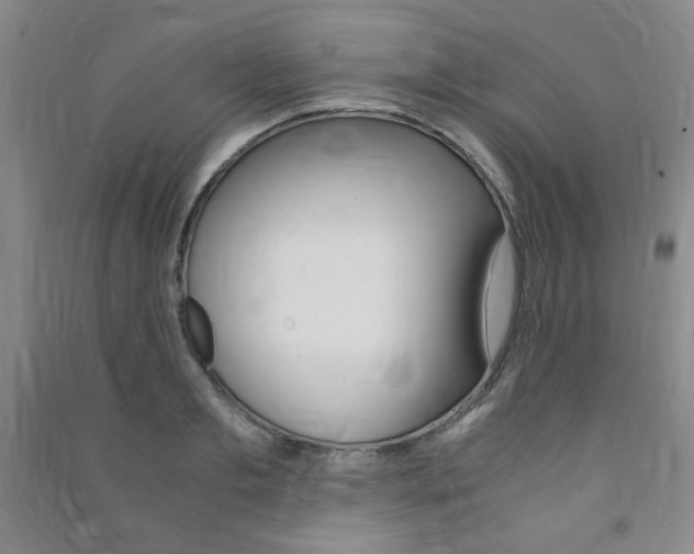X0000091490893200708161208