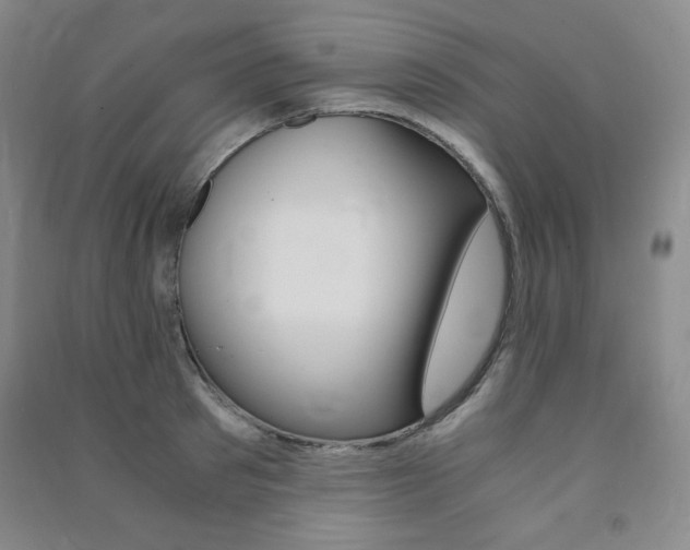 X0000091490897200708161208