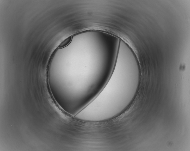 X0000091490898200708161208
