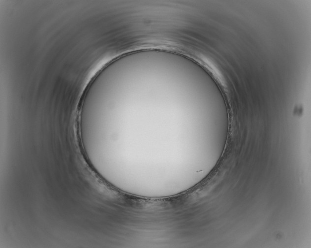 X0000091490899200708161208