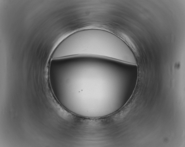X0000091490900200708161208