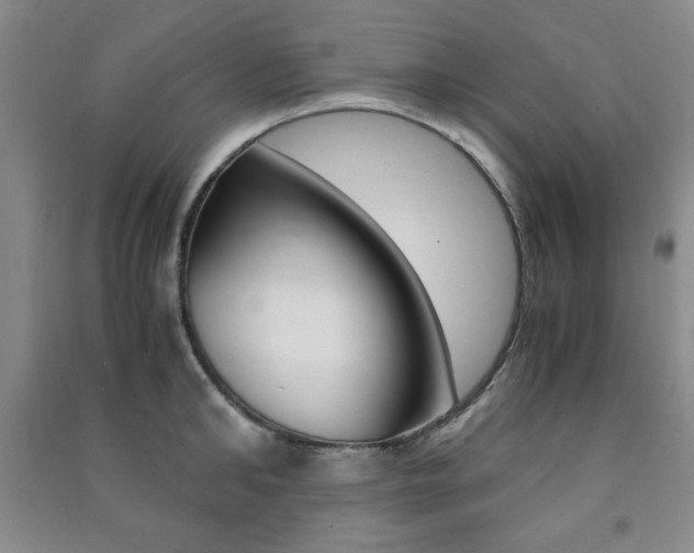 X0000091490902200708161208