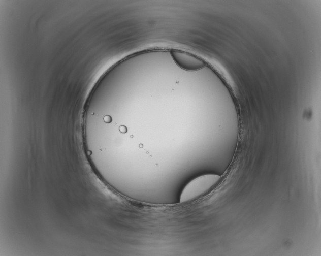 X0000091490903200708161208