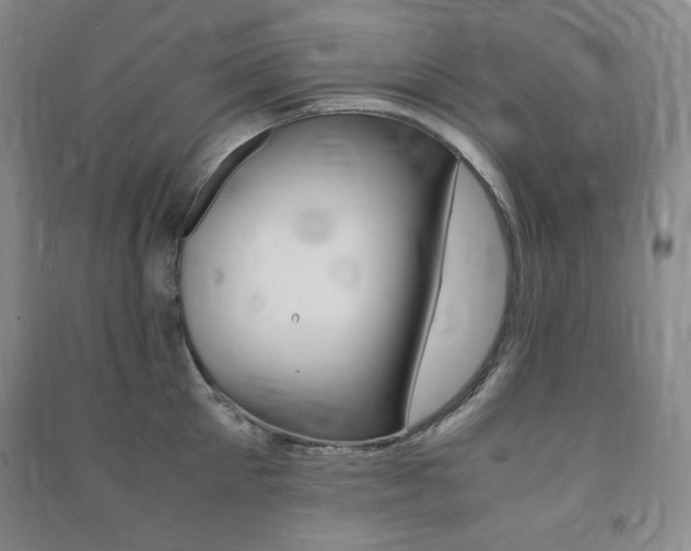 X0000091490905200708161208