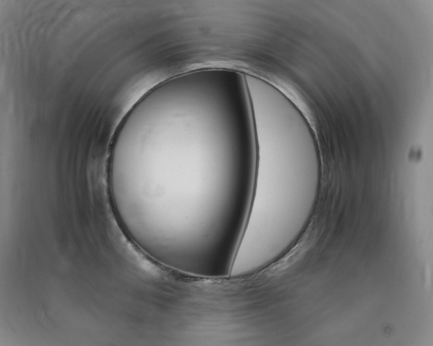 X0000091490906200708161208