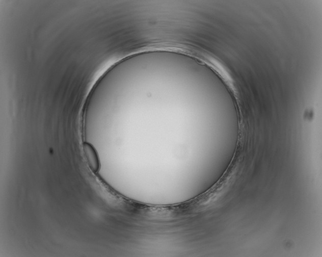 X0000091490907200708161208