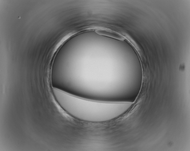 X0000091490909200708161208