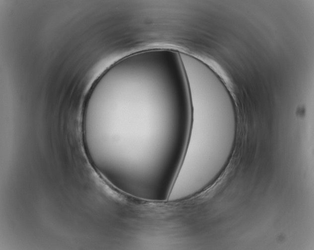 X0000091490910200708161208