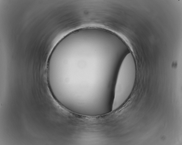 X0000091490911200708161207