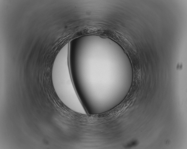 X0000091490914200708161207