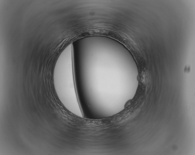 X0000091490915200708161207
