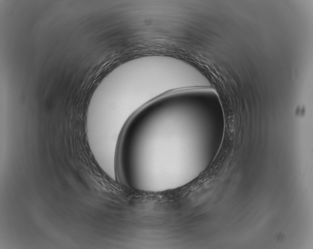 X0000091490916200708161207