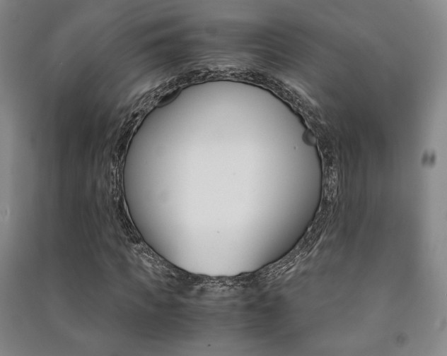 X0000091490917200708161207