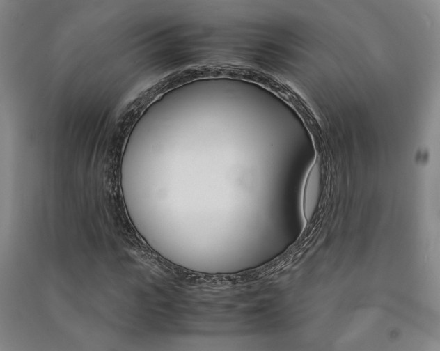 X0000091490919200708161207
