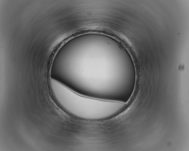 X0000091490922200708161207