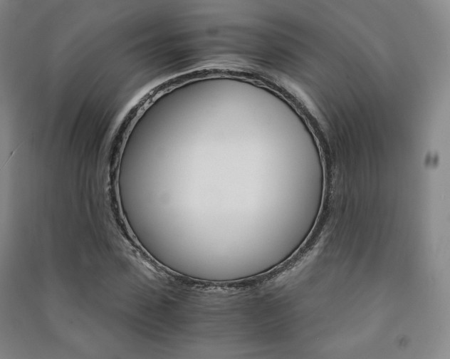 X0000091490923200708161207