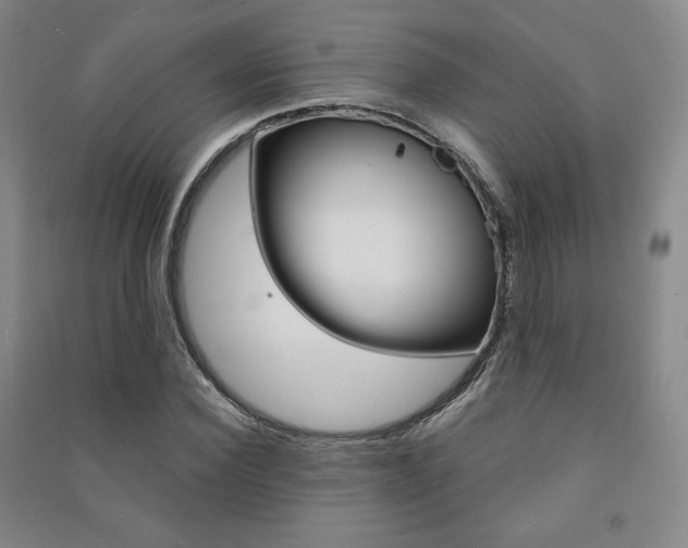 X0000091490924200708161207