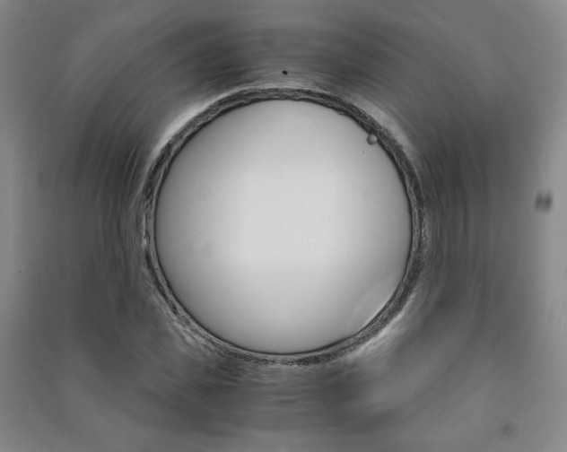 X0000091490925200708161207
