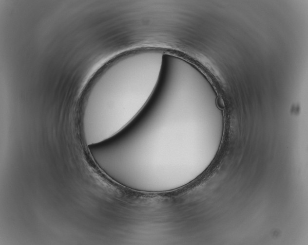 X0000091490926200708161207