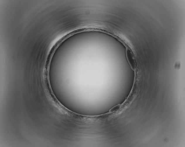 X0000091490928200708161207