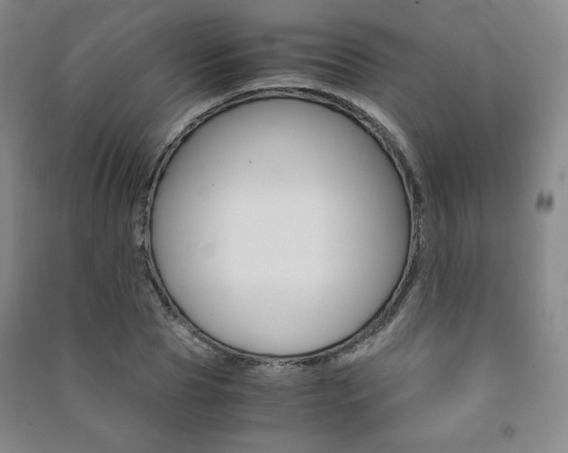 X0000091490929200708161207