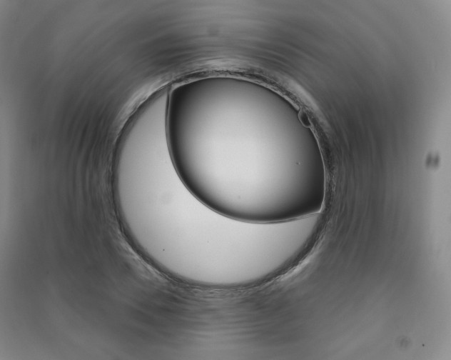 X0000091490930200708161207