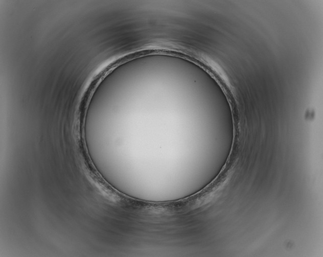 X0000091490931200708161207