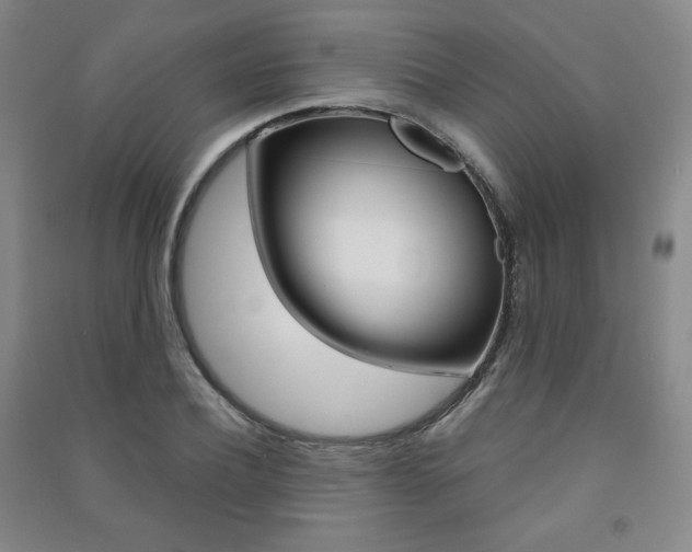 X0000091490932200708161207