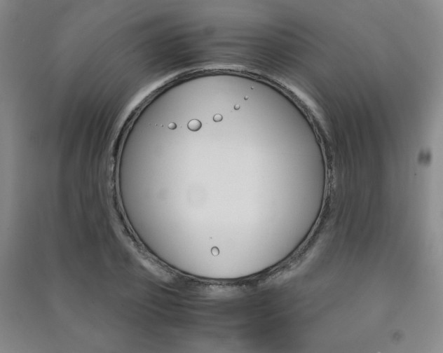 X0000091490933200708161207
