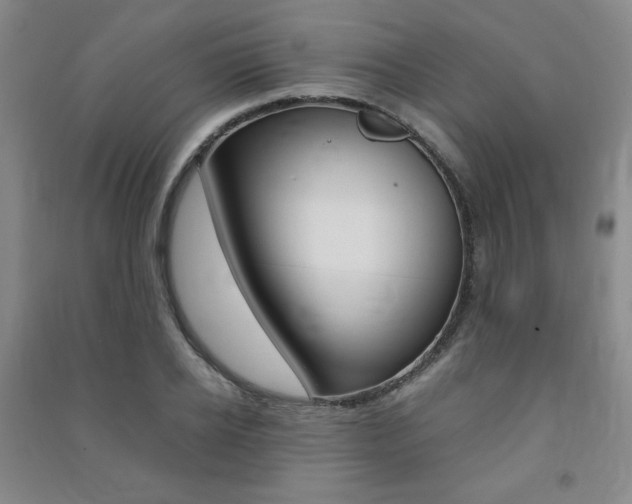 X0000091490934200708161207