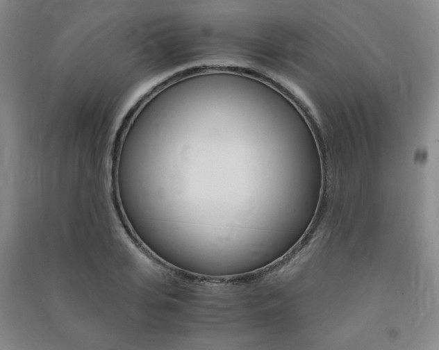 X0000091490935200708161207
