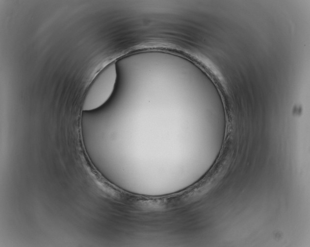 X0000091490937200708161207
