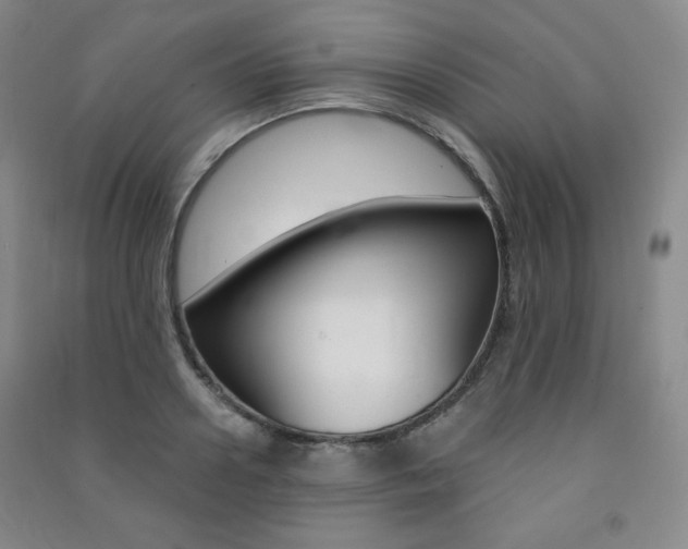 X0000091490938200708161207