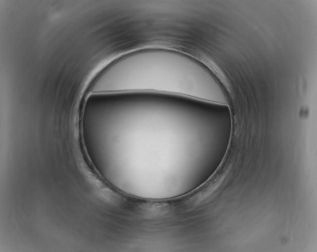 X0000091490939200708161207