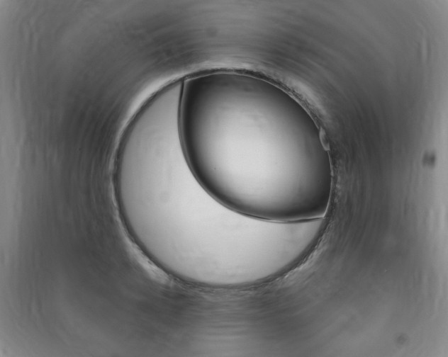 X0000091490942200708161207