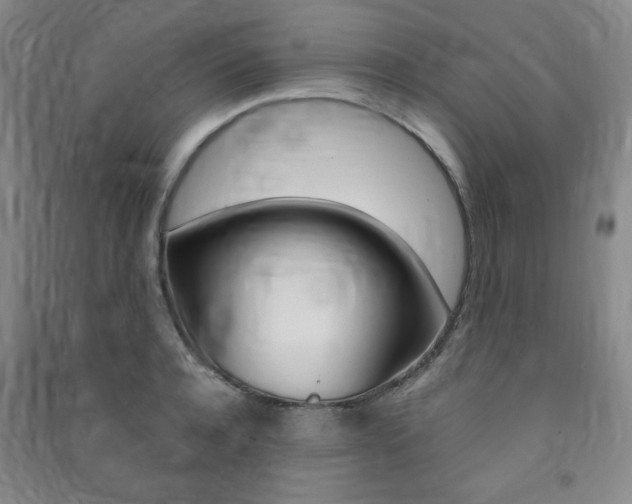 X0000091490944200708161207